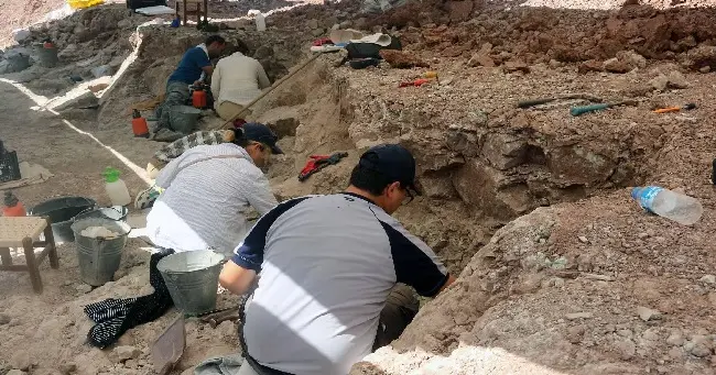 Çin'de arkeologların son çalışmalarına göre 1,63 milyar yıl öncesine ait, çok hücreli ökaryot fosillerin varlığını bulunduğu bildirildi.