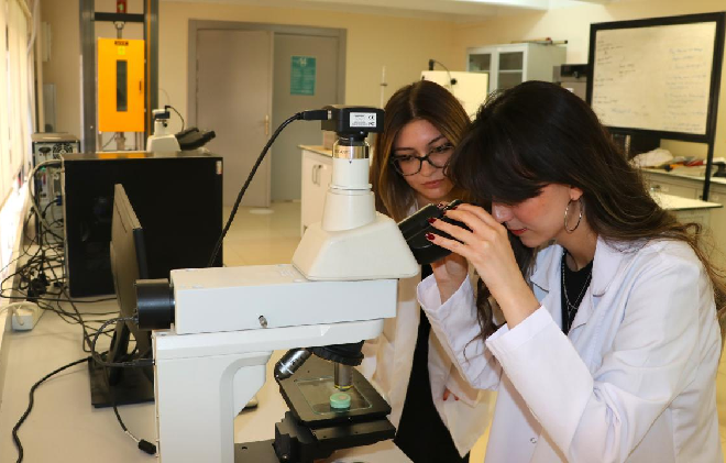 Yumurta Kabuğundan İmplant Malzemesi Ürettiler